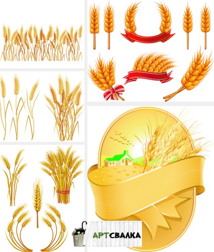 Логотипы из колосков пшеницы | The logos of ears of wheat